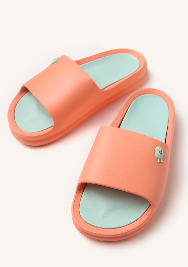 CHANCLAS TIPO PALA GILL