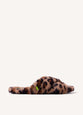 Leopardo